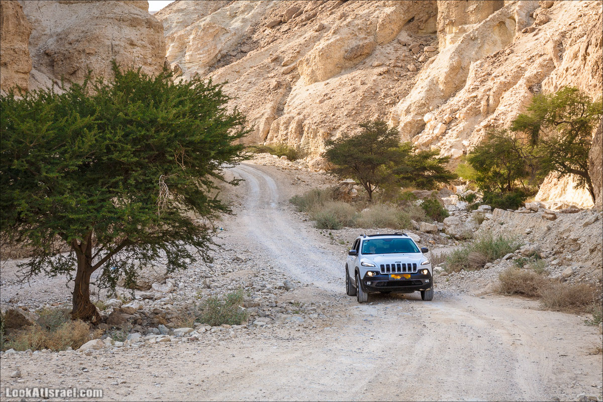 Jeep Cherokee of LookAtIsrael.com