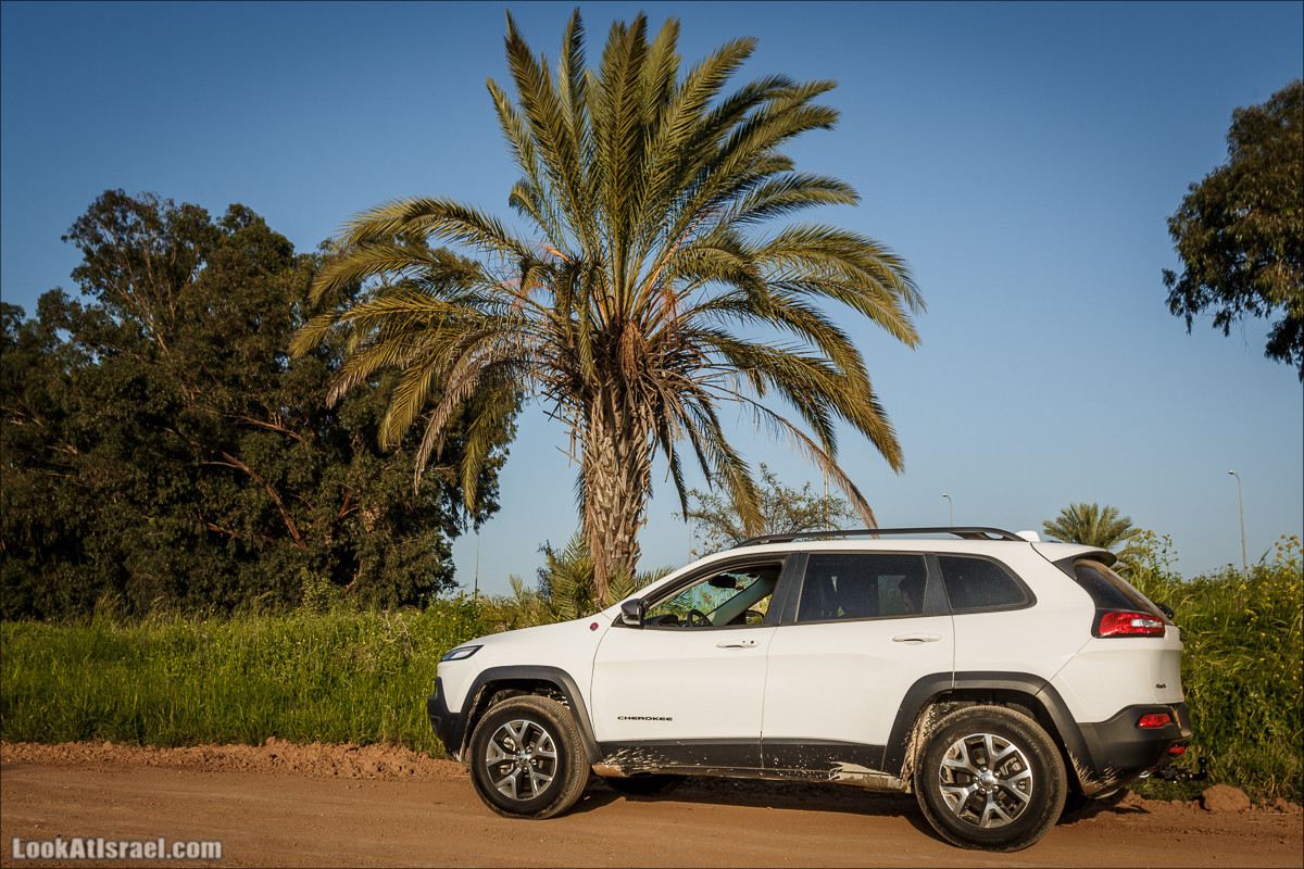 Jeep Cherokee of LookAtIsrael.com