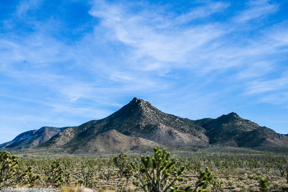 Skywalk - обзорная площадка с прозрачным полом над Большим Каньоном | LookAtIsrael.com - Фото путешествия по Израилю