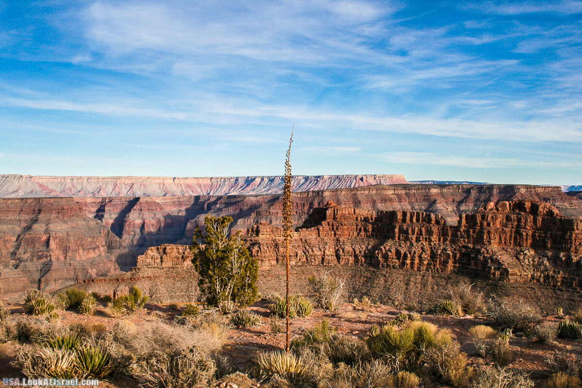 Skywalk - обзорная площадка с прозрачным полом над Большим Каньоном | LookAtIsrael.com - Фото путешествия по Израилю