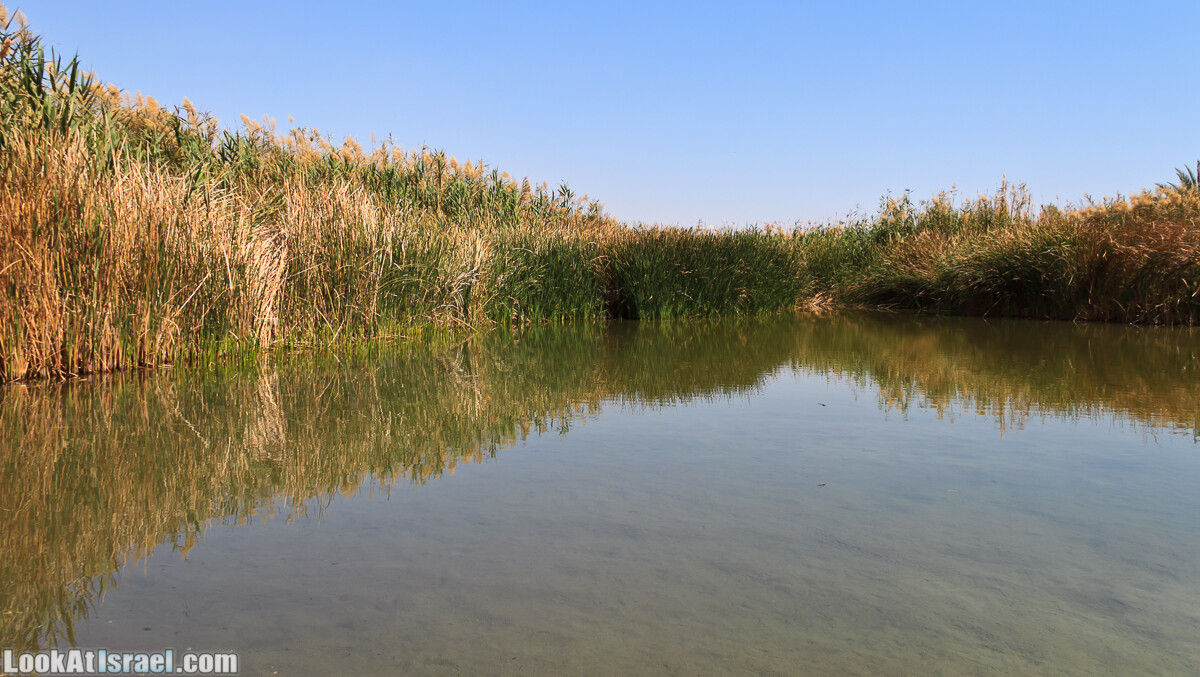 Эйнот Цуким | LookAtIsrael.com - Фото путешествия по Израилю