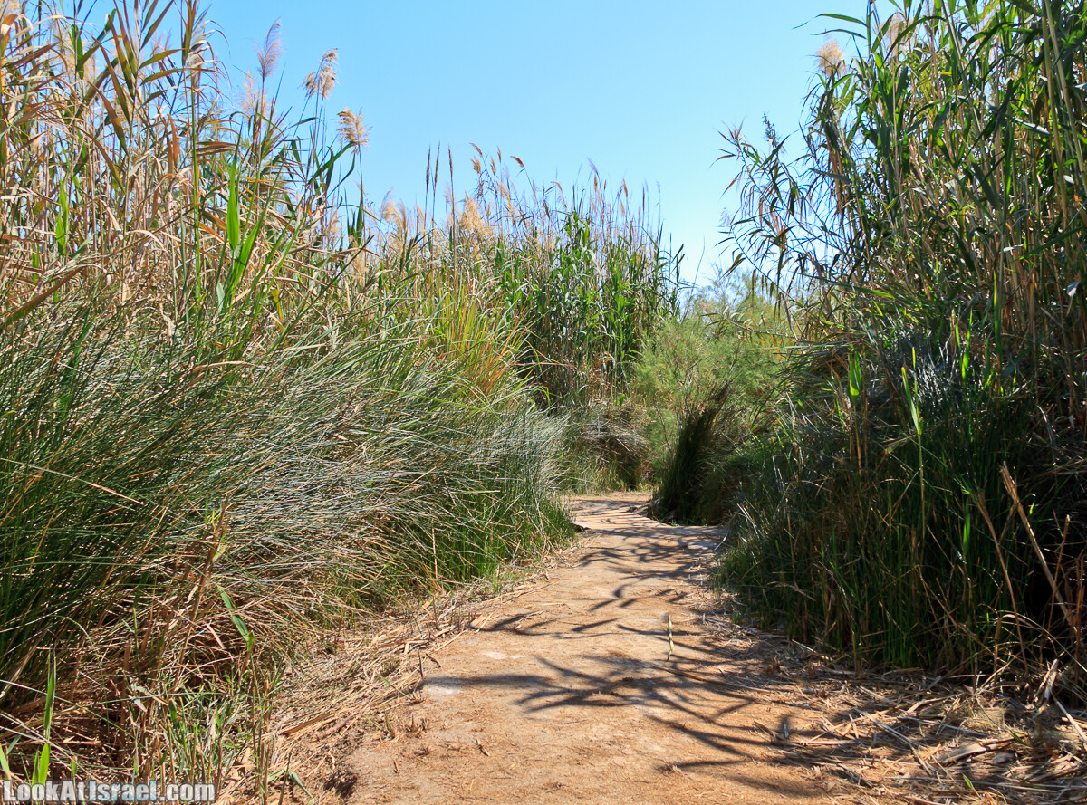 Эйнот Цуким | LookAtIsrael.com - Фото путешествия по Израилю