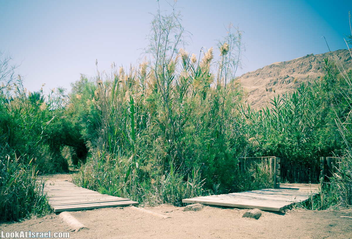 Эйнот Цуким | LookAtIsrael.com - Фото путешествия по Израилю