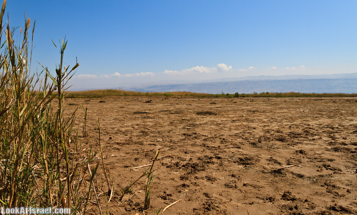Эйнот Цуким | LookAtIsrael.com - Фото путешествия по Израилю