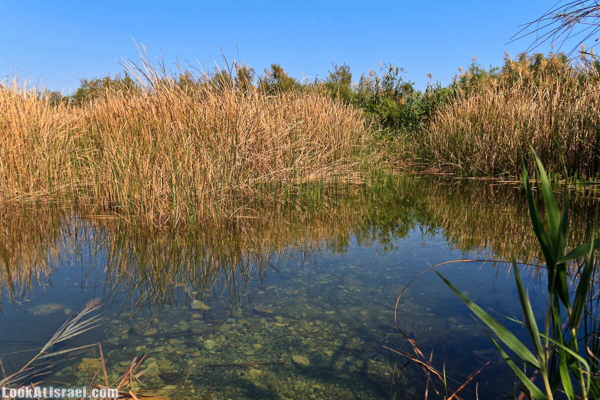 Эйнот Цуким | LookAtIsrael.com - Фото путешествия по Израилю