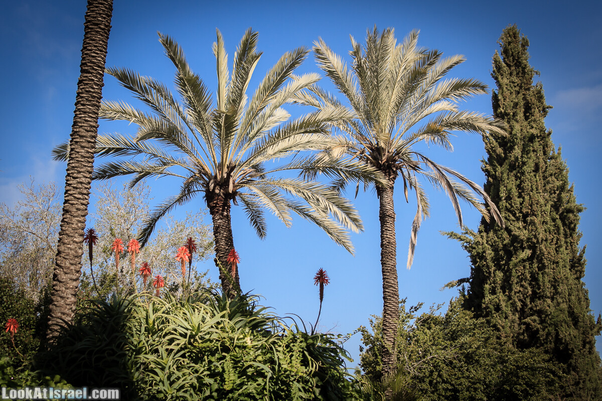 Бенедиктинский монастырь в Абу Гош | LookAtIsrael.com - Фото путешествия по Израилю