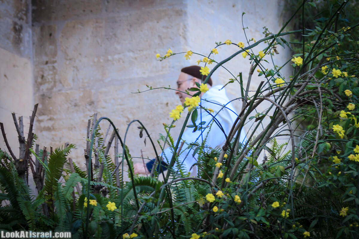 Бенедиктинский монастырь в Абу Гош | LookAtIsrael.com - Фото путешествия по Израилю