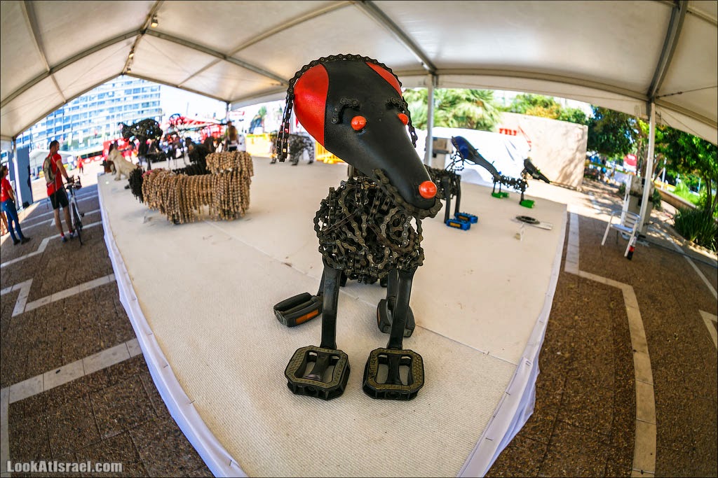 Выставка собак, созданных Нирит Левав из велосипедных цепей | LookAtIsrael.com - Фото путешествия по Израилю
