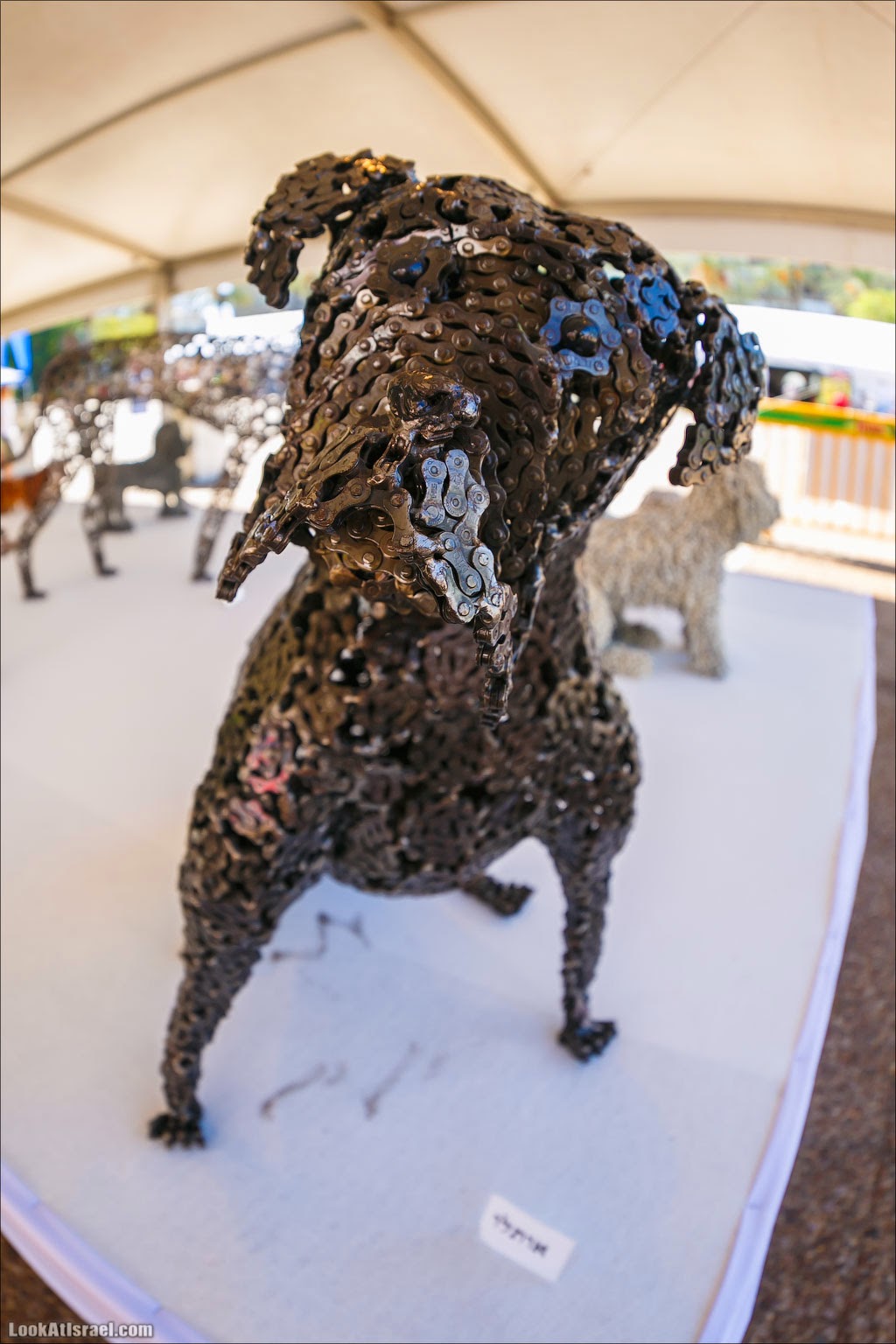 Выставка собак, созданных Нирит Левав из велосипедных цепей | LookAtIsrael.com - Фото путешествия по Израилю