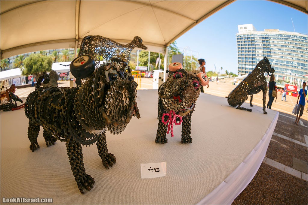 Выставка собак, созданных Нирит Левав из велосипедных цепей | LookAtIsrael.com - Фото путешествия по Израилю