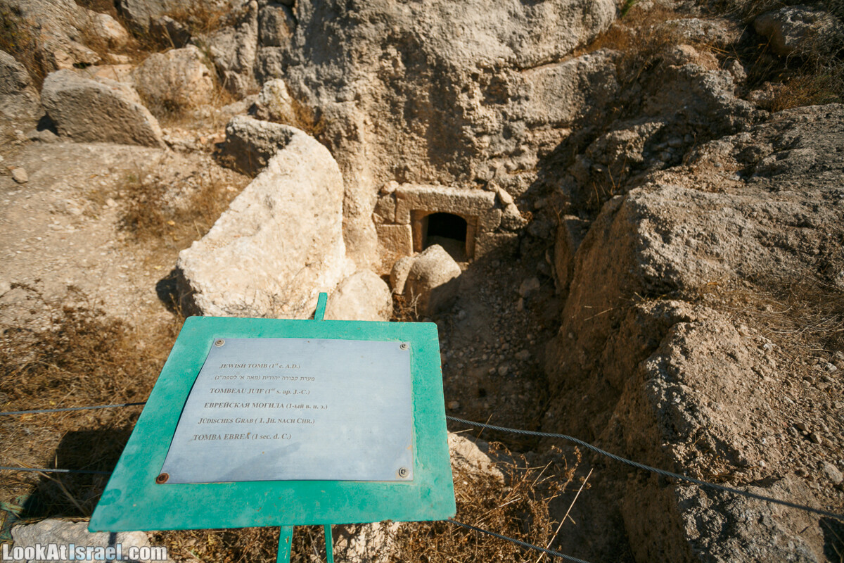 Эммаус Никополис - место преломления хлебов | LookAtIsrael.com - Фото путешествия по Израилю