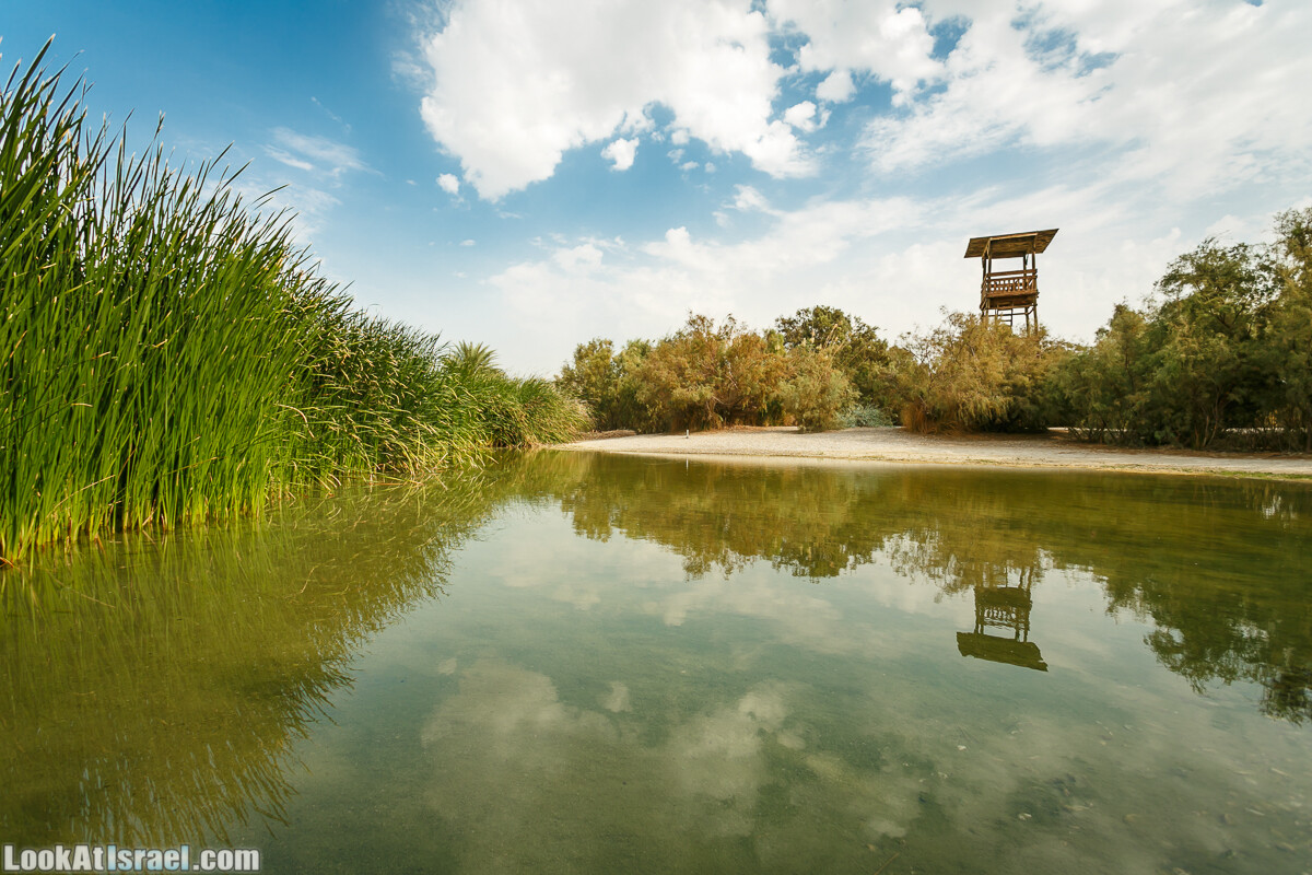 Эйнот Цуким