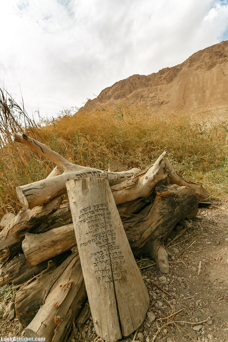 Эйнот Цуким | LookAtIsrael.com - Фото путешествия по Израилю