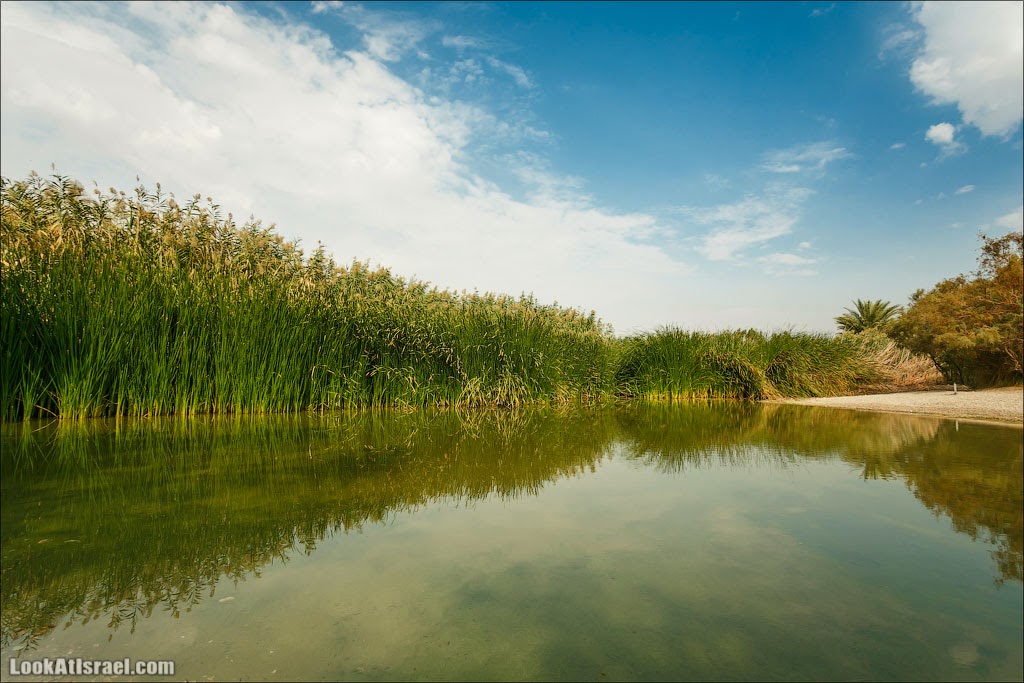 Эйнот Цуким | LookAtIsrael.com - Фото путешествия по Израилю