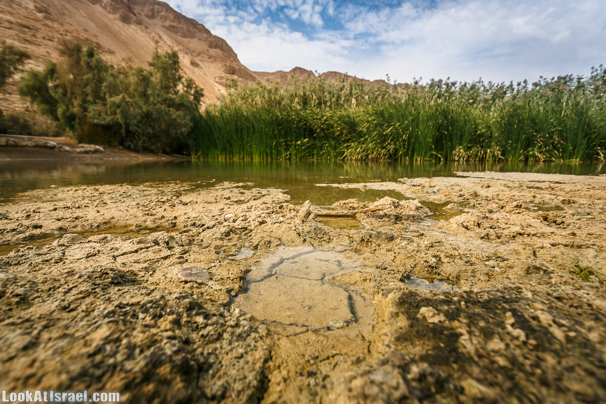 Эйнот Цуким | LookAtIsrael.com - Фото путешествия по Израилю