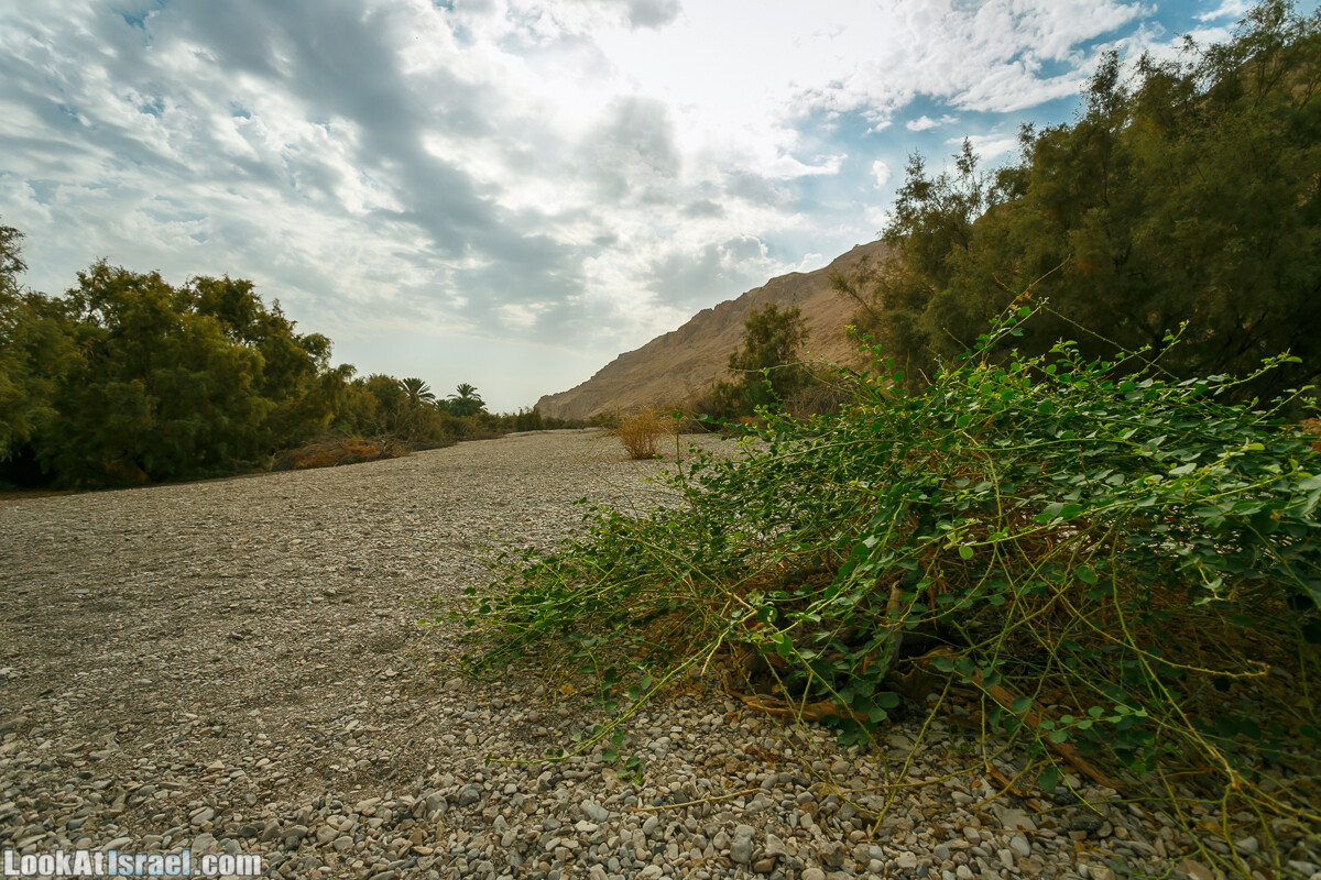 Эйнот Цуким | LookAtIsrael.com - Фото путешествия по Израилю