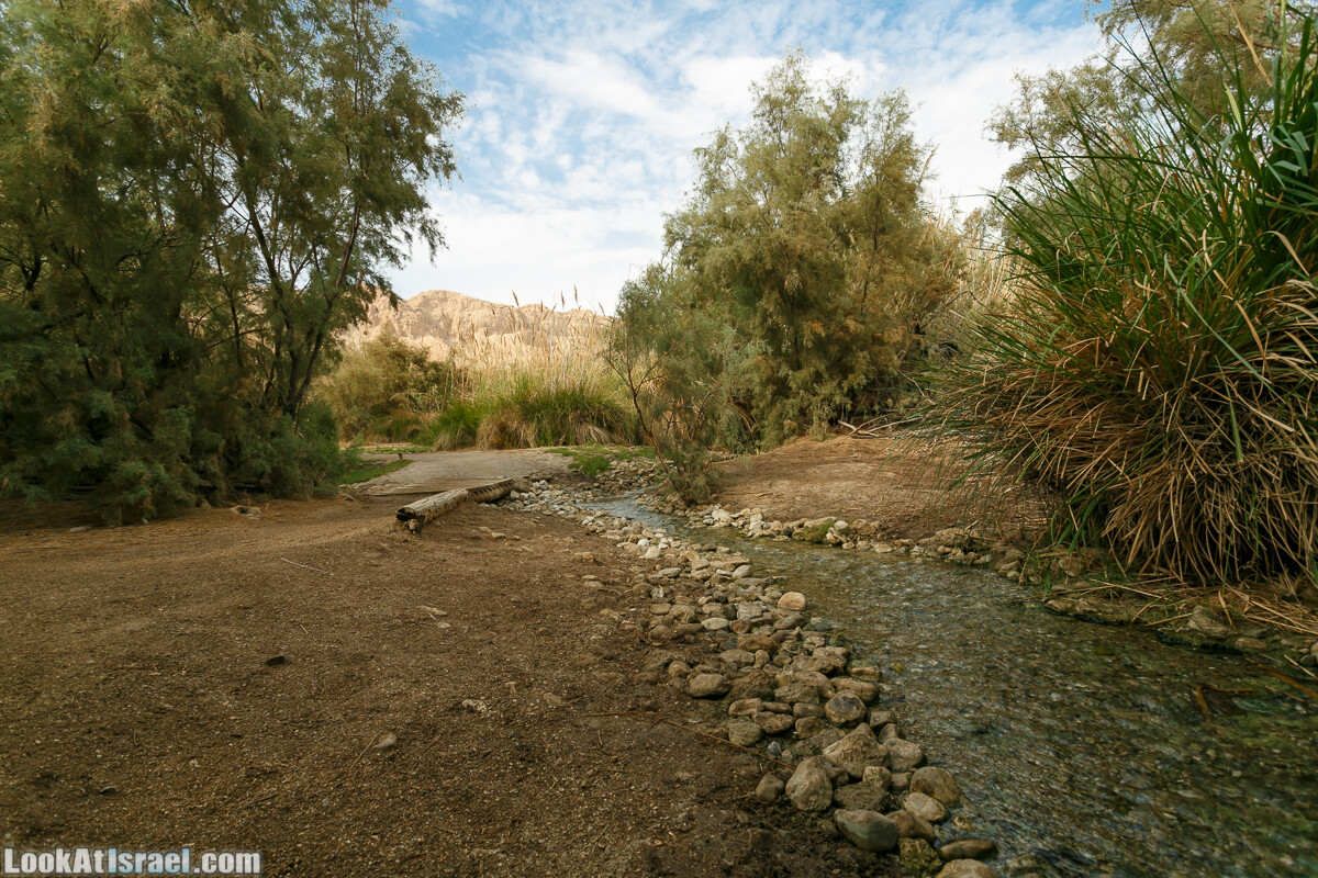 Эйнот Цуким | LookAtIsrael.com - Фото путешествия по Израилю