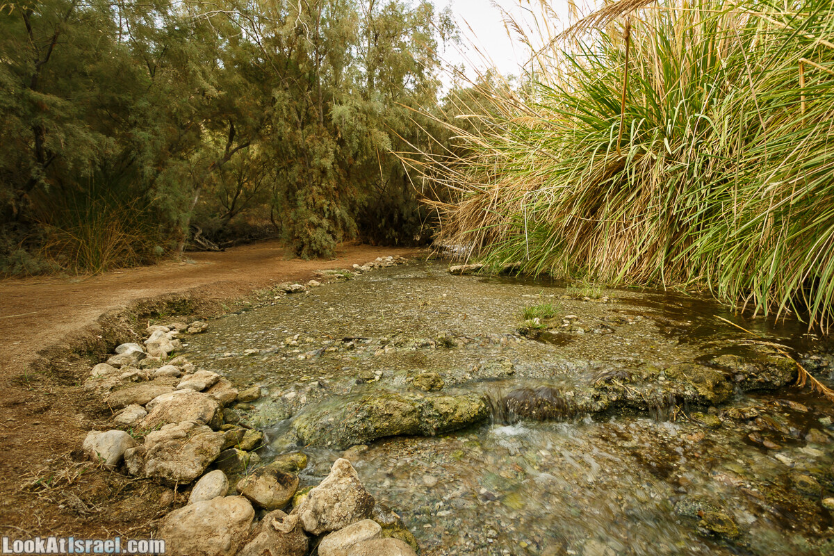 Эйнот Цуким | LookAtIsrael.com - Фото путешествия по Израилю