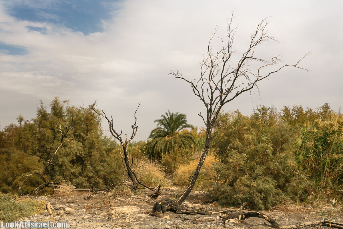 Эйнот Цуким | LookAtIsrael.com - Фото путешествия по Израилю