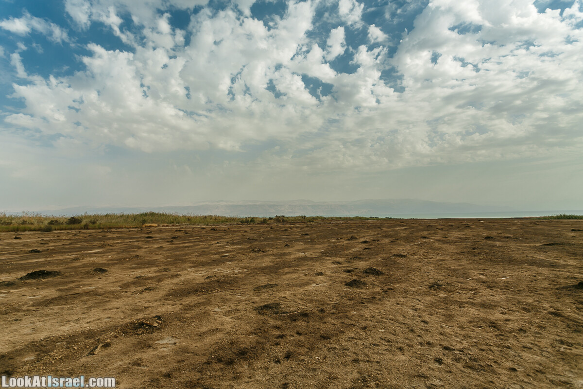 Эйнот Цуким | LookAtIsrael.com - Фото путешествия по Израилю