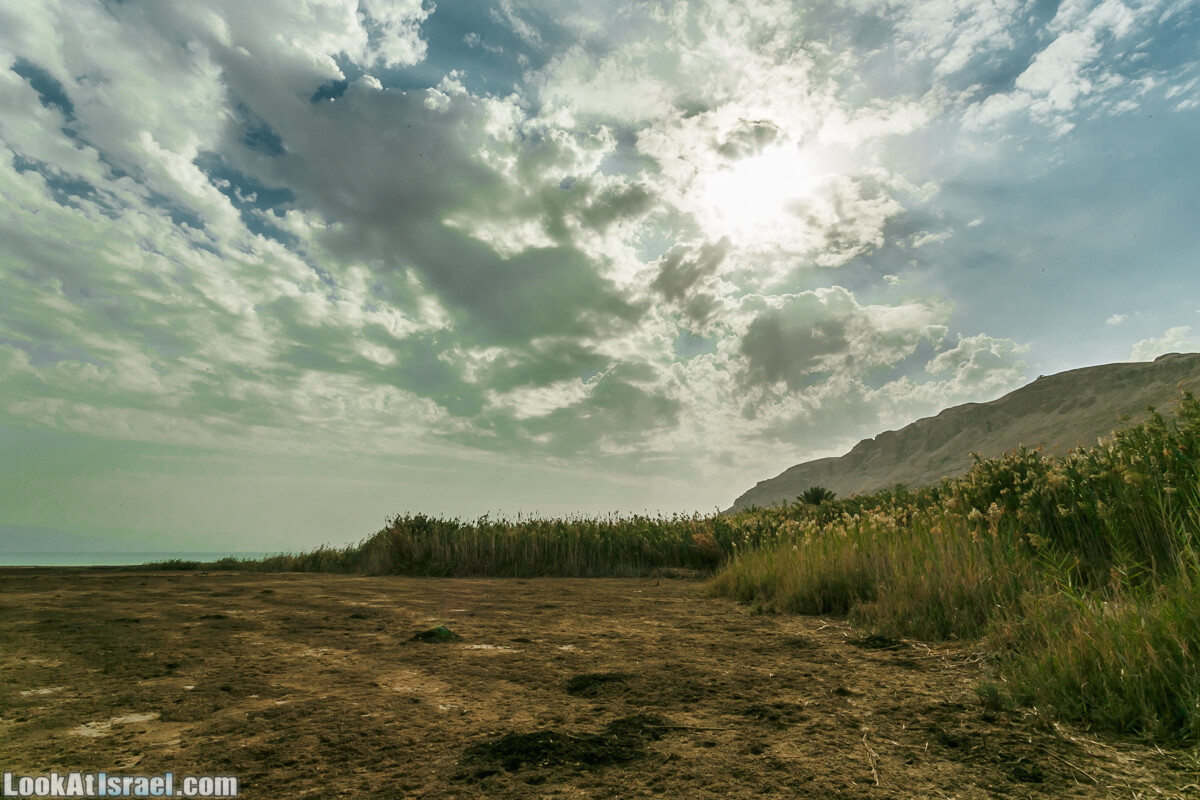 Эйнот Цуким | LookAtIsrael.com - Фото путешествия по Израилю