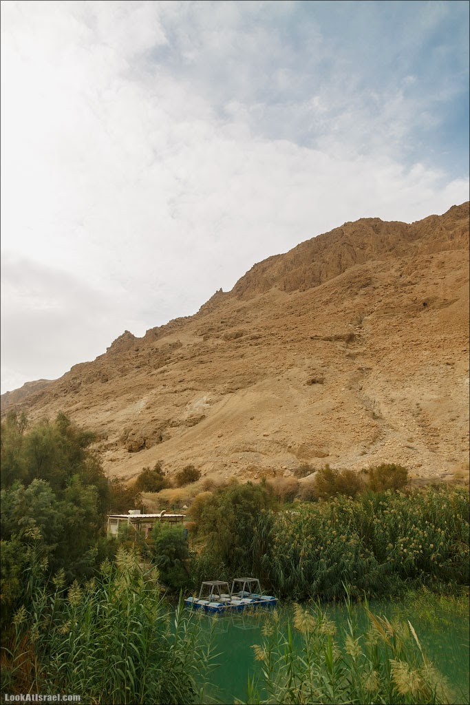 Эйнот Цуким | LookAtIsrael.com - Фото путешествия по Израилю