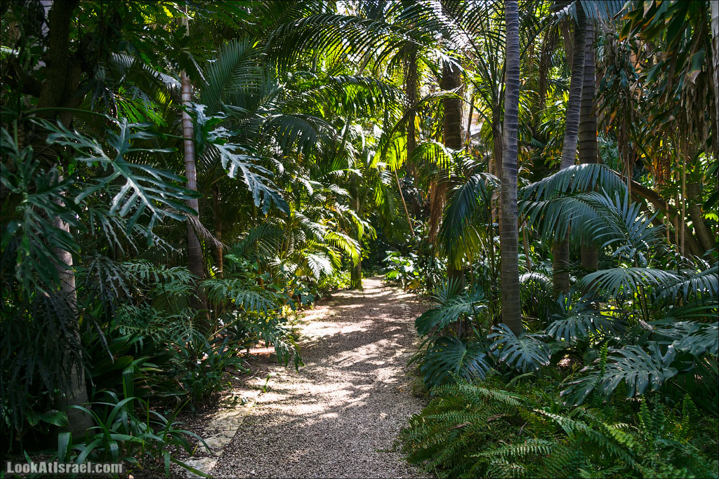 Сад Кактусов, Сад Камней, Тропический сад в парке а-Яркон | LookAtIsrael.com - Фото путешествия по Израилю