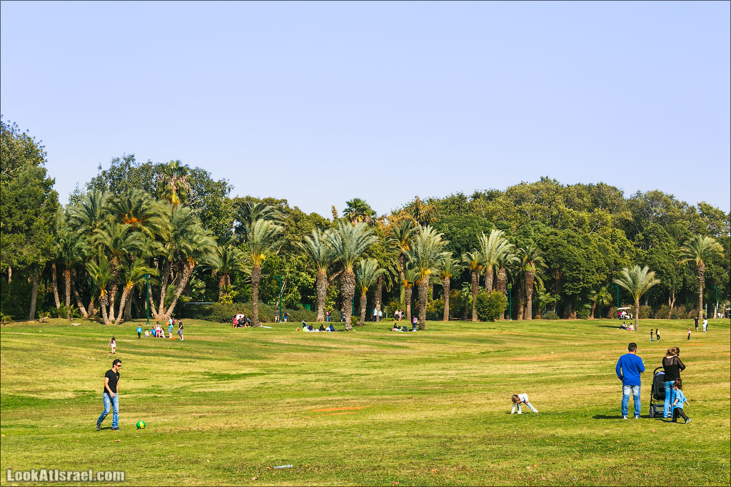 Сад Кактусов, Сад Камней, Тропический сад в парке а-Яркон | LookAtIsrael.com - Фото путешествия по Израилю