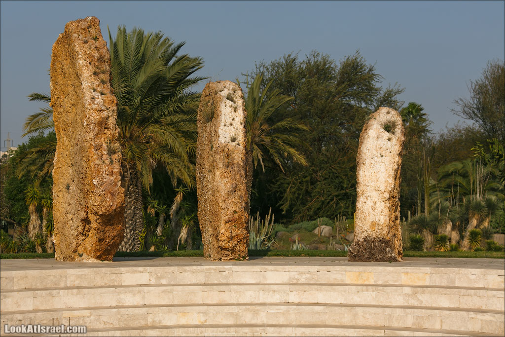 Сад Кактусов, Сад Камней, Тропический сад в парке а-Яркон | LookAtIsrael.com - Фото путешествия по Израилю