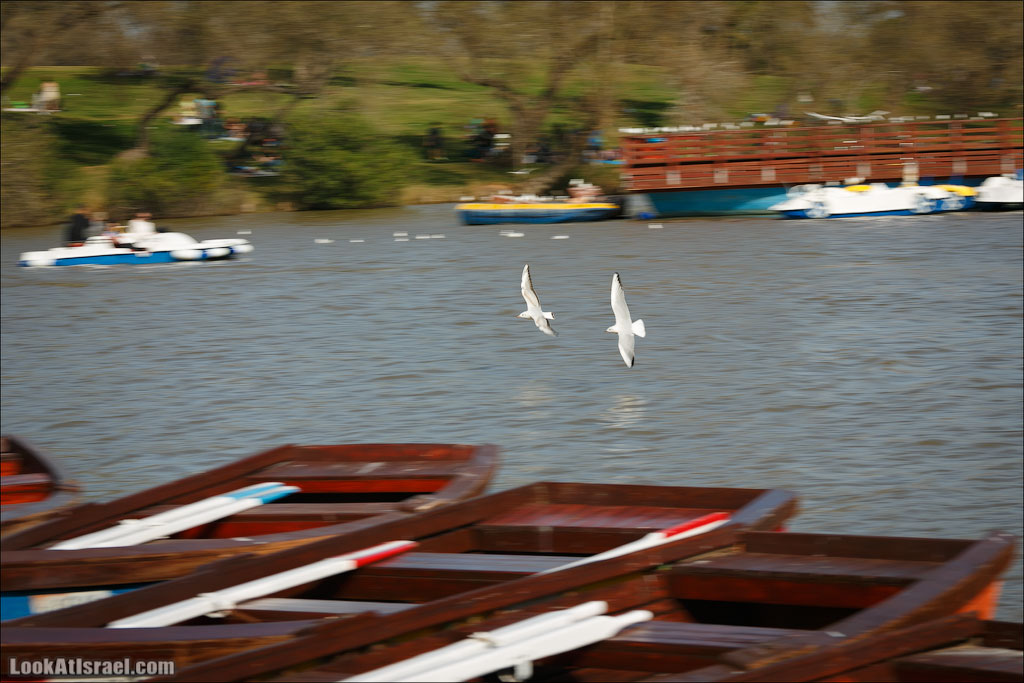 Сад Кактусов, Сад Камней, Тропический сад в парке а-Яркон | LookAtIsrael.com - Фото путешествия по Израилю
