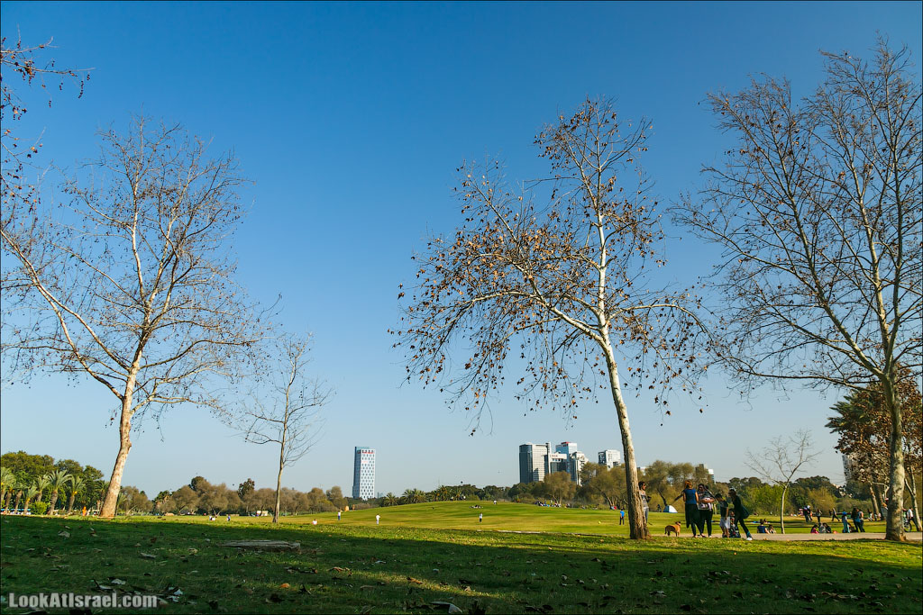 Сад Кактусов, Сад Камней, Тропический сад в парке а-Яркон | LookAtIsrael.com - Фото путешествия по Израилю