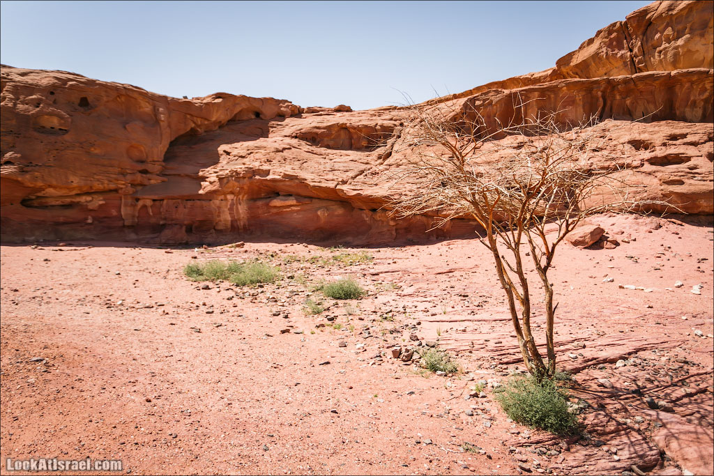 Парк Тимна | LookAtIsrael.com - Фото путешествия по Израилю