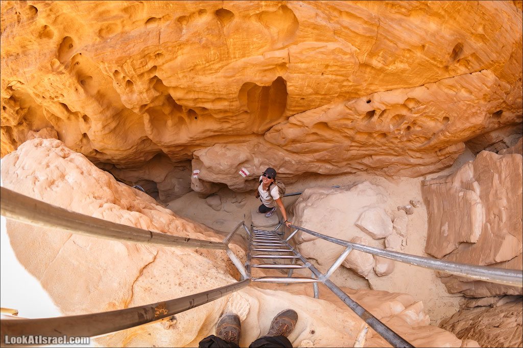 Парк Тимна | LookAtIsrael.com - Фото путешествия по Израилю
