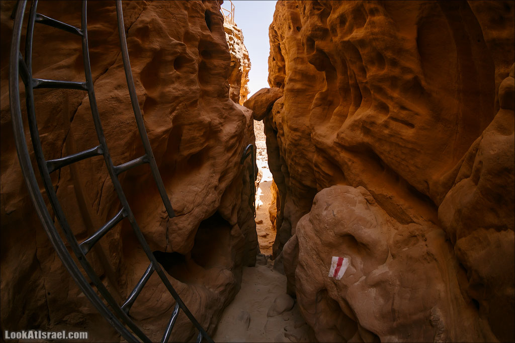 Парк Тимна | LookAtIsrael.com - Фото путешествия по Израилю