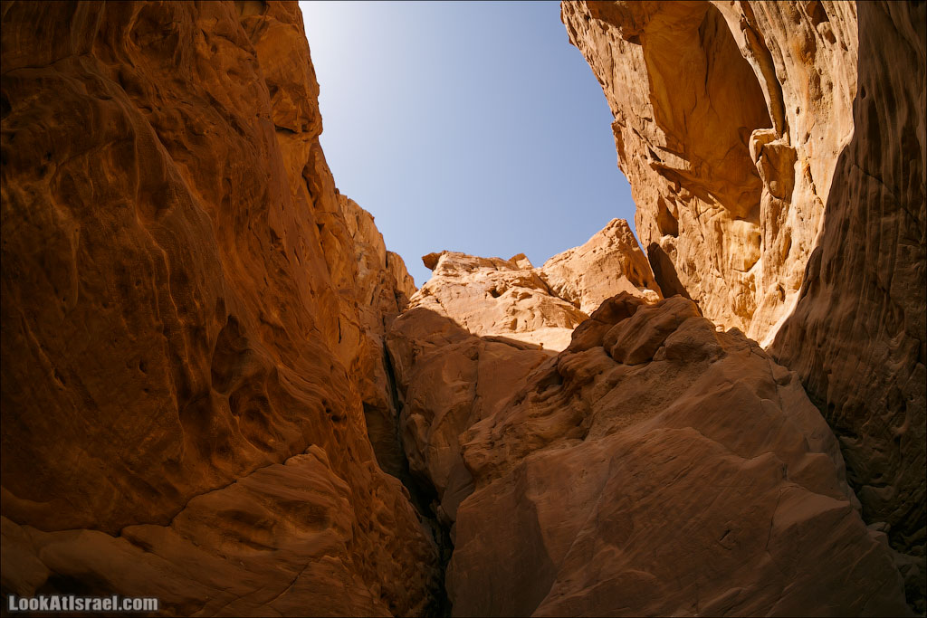 Парк Тимна | LookAtIsrael.com - Фото путешествия по Израилю