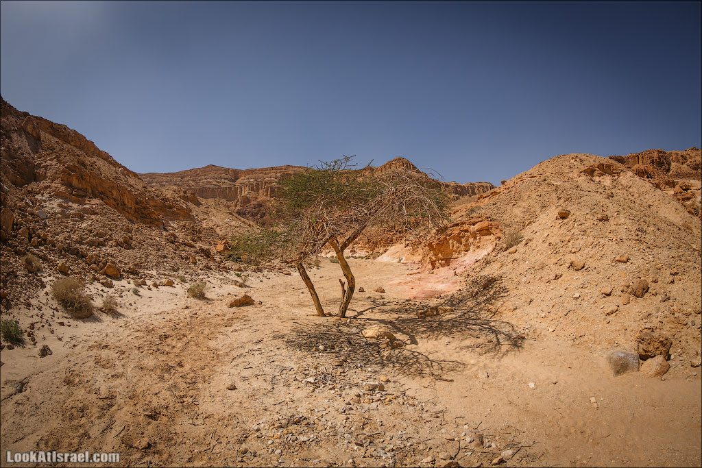 Парк Тимна | LookAtIsrael.com - Фото путешествия по Израилю