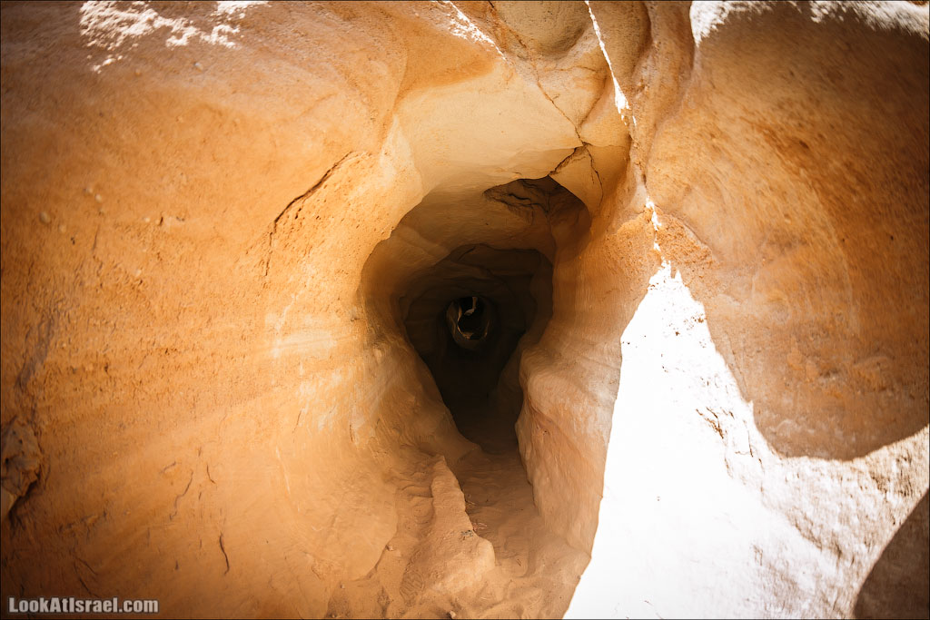 Парк Тимна | LookAtIsrael.com - Фото путешествия по Израилю