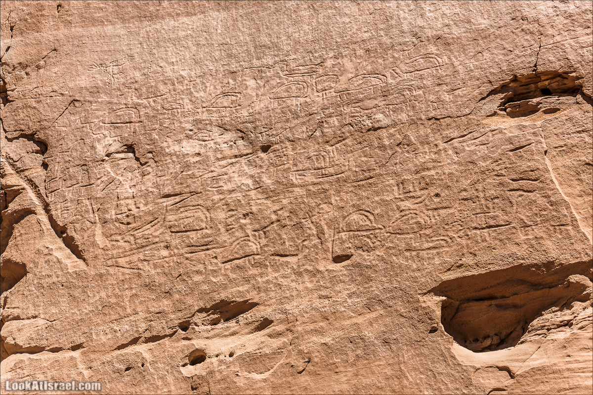 Парк Тимна | LookAtIsrael.com - Фото путешествия по Израилю