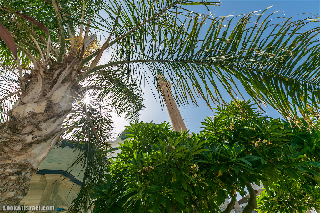 Мечеть Аль Джаззар в Акко | LookAtIsrael.com - Фото путешествия по Израилю