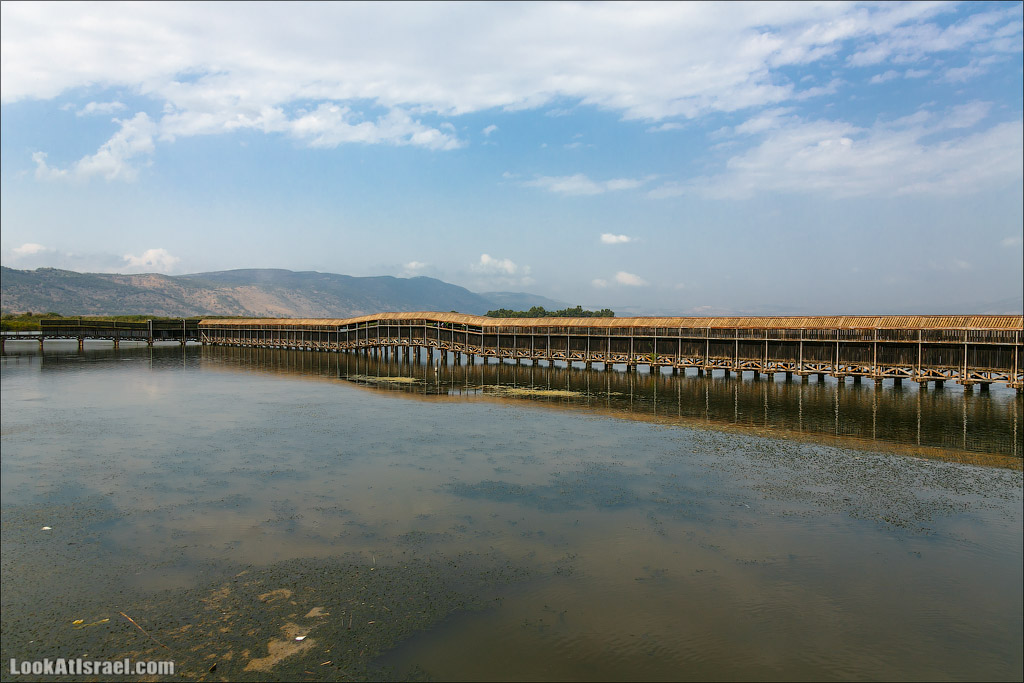 Заповедник Хула | LookAtIsrael.com - Фото путешествия по Израилю