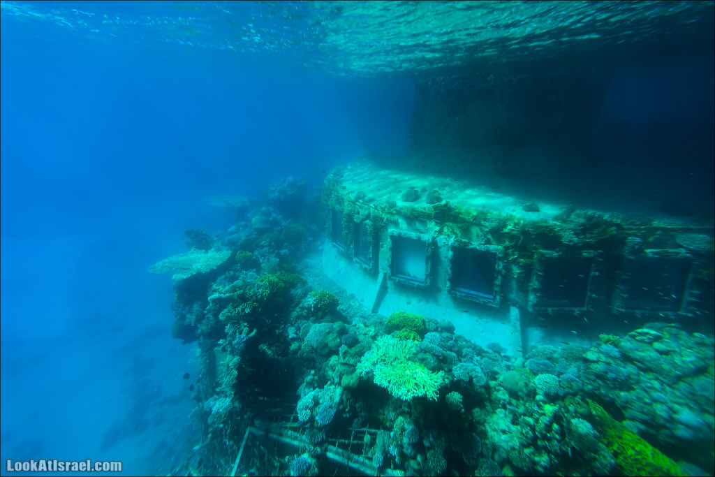 Эйлат - подводная обсерватория Океанаирум | LookAtIsrael.com - Фото путешествия по Израилю