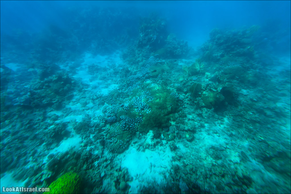 Эйлат - подводная обсерватория Океанаирум | LookAtIsrael.com - Фото путешествия по Израилю