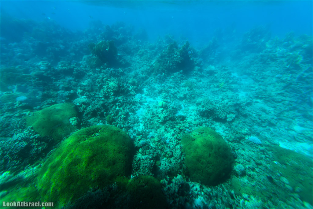 Эйлат - подводная обсерватория Океанаирум | LookAtIsrael.com - Фото путешествия по Израилю