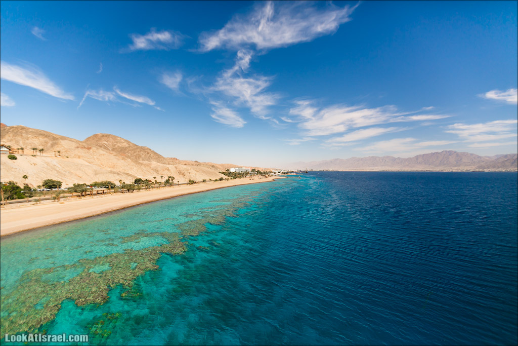 Эйлат - подводная обсерватория Океанаирум | LookAtIsrael.com - Фото путешествия по Израилю
