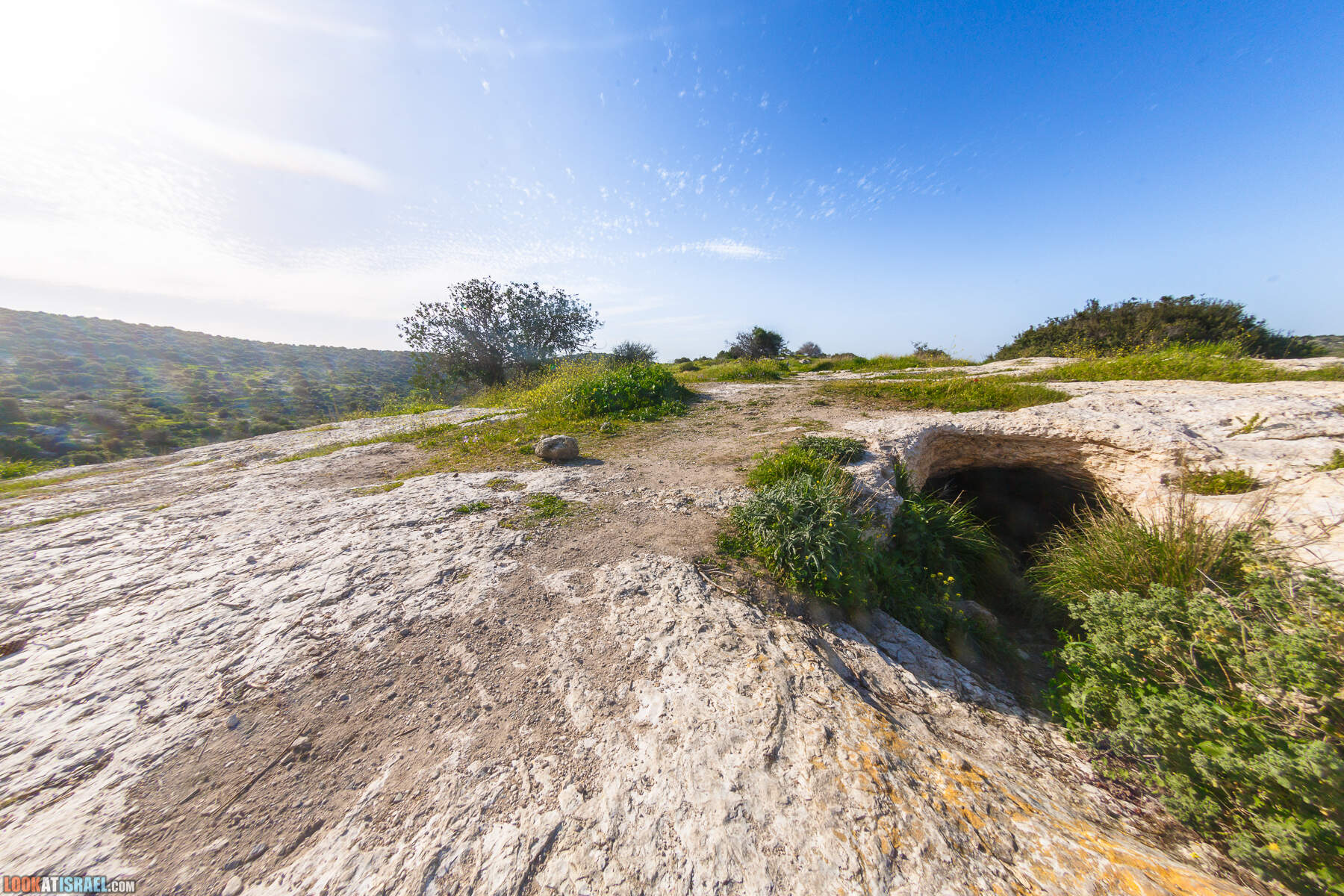 Люпины в Израиле | LookAtIsrael.com - Фото путешествия по Израилю