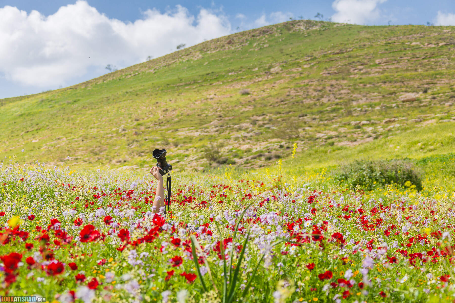 Заповедник Ум-Зука в Иорданской долине