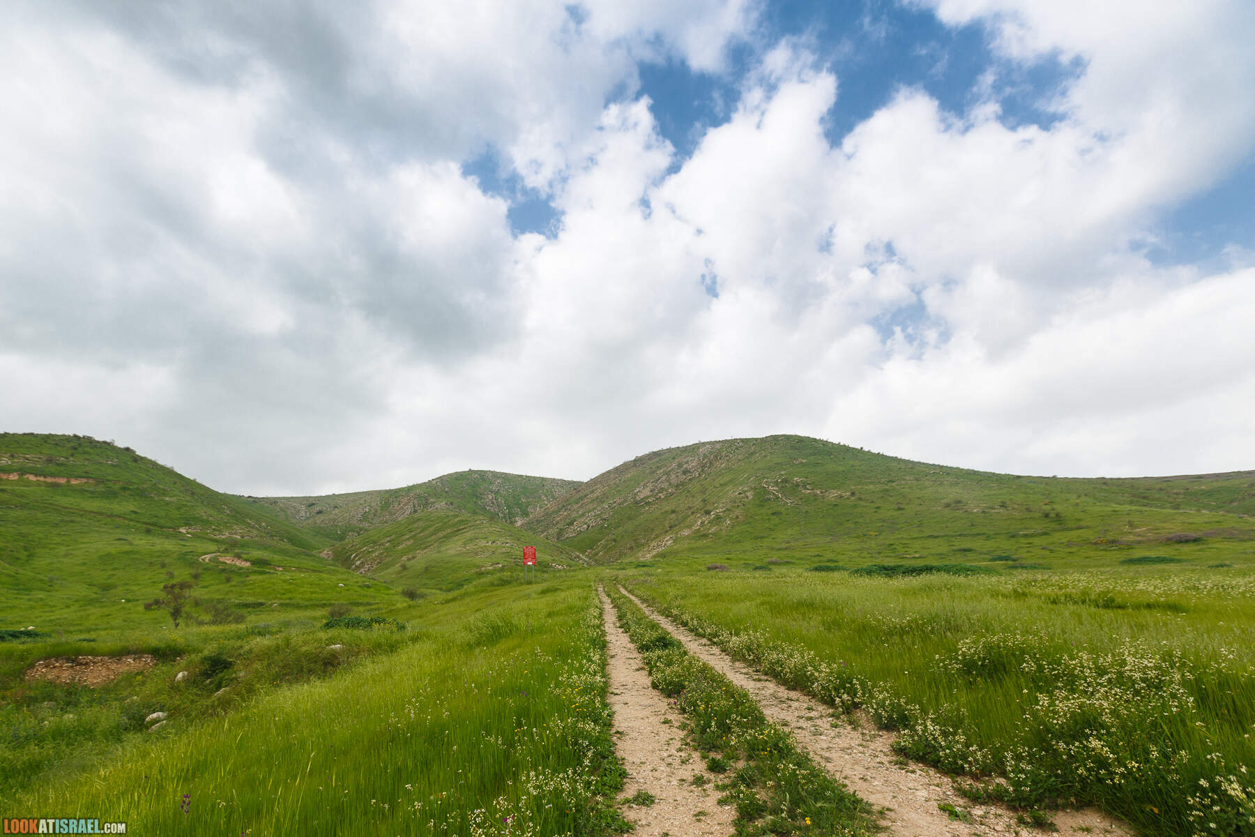 LookAtIsrael.com - Заповедник Ум Зука в Иорданской долине, Израиль | Um Zuka Reserve, Jordan valley, Israel | שמורת אום זוקה בבקעת ירדן