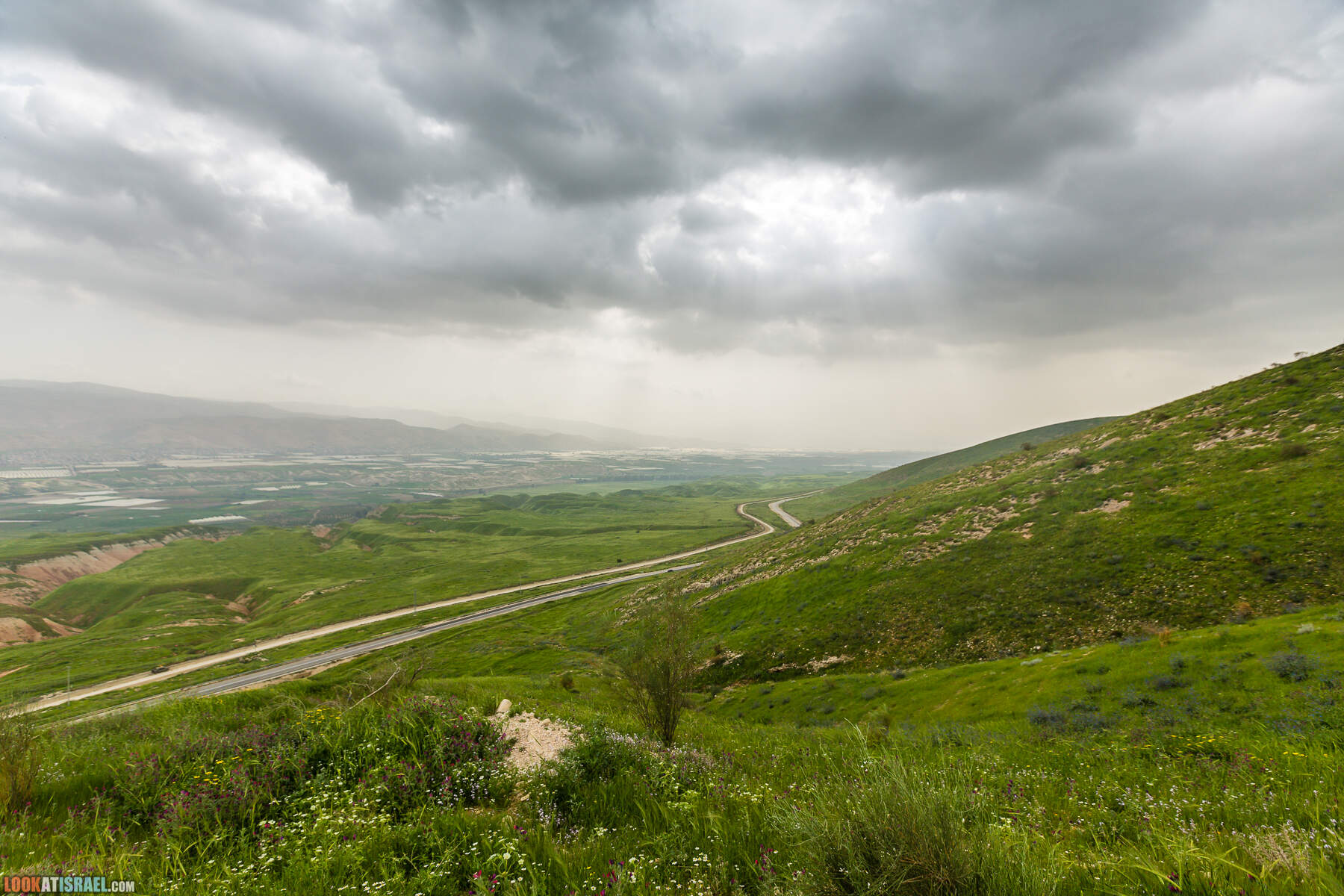LookAtIsrael.com - Заповедник Ум Зука в Иорданской долине, Израиль | Um Zuka Reserve, Jordan valley, Israel | שמורת אום זוקה בבקעת ירדן