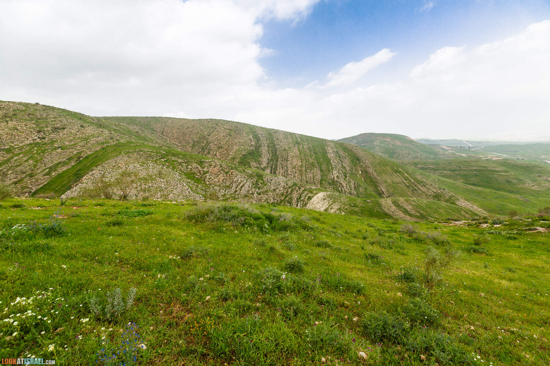 LookAtIsrael.com - Заповедник Ум Зука в Иорданской долине, Израиль | Um Zuka Reserve, Jordan valley, Israel | שמורת אום זוקה בבקעת ירדן
