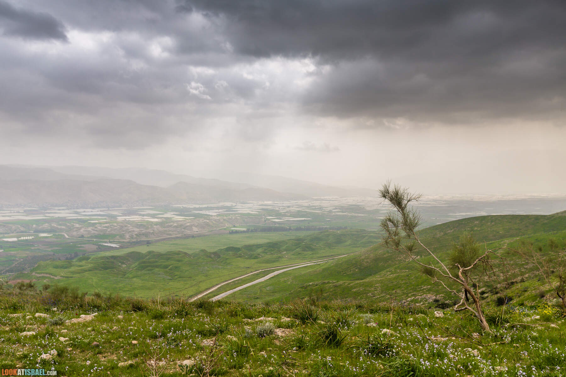 LookAtIsrael.com - Заповедник Ум Зука в Иорданской долине, Израиль | Um Zuka Reserve, Jordan valley, Israel | שמורת אום זוקה בבקעת ירדן